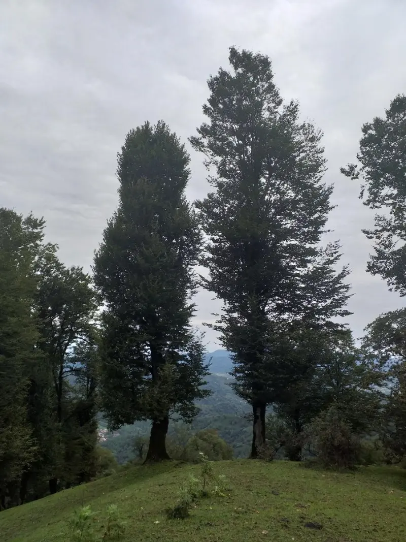 خرم کوتی - تصویر 9