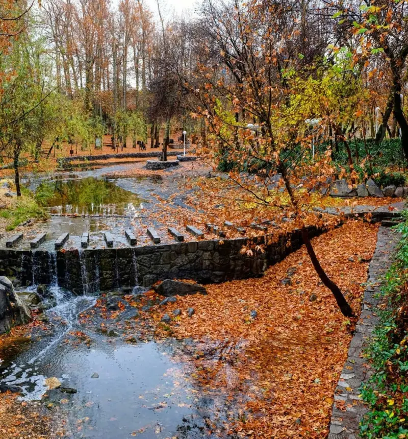 پارک وکیل‌آباد - تصویر 10