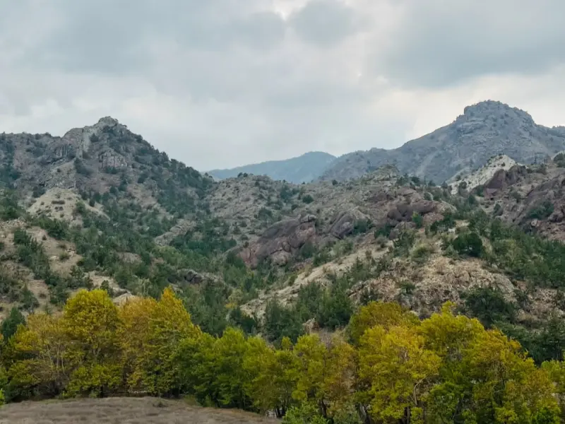 جنگل آنزا - تصویر 3