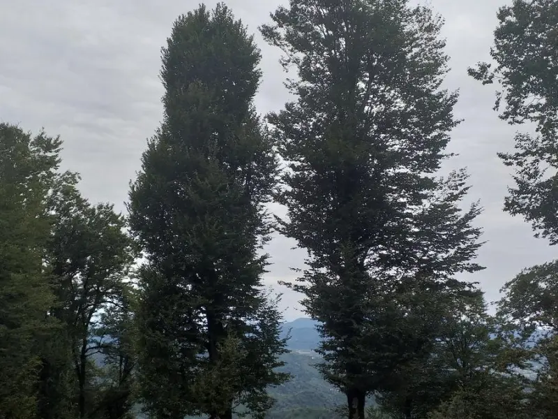 خرم کوتی - تصویر 9