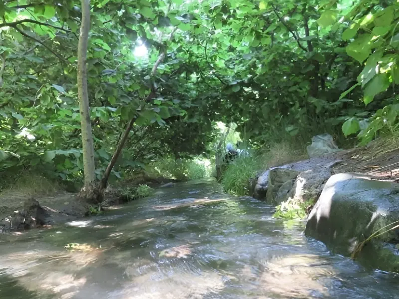 روستای وشنوه - تصویر 3