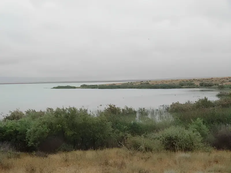 تالاب آجی گل - تصویر 1
