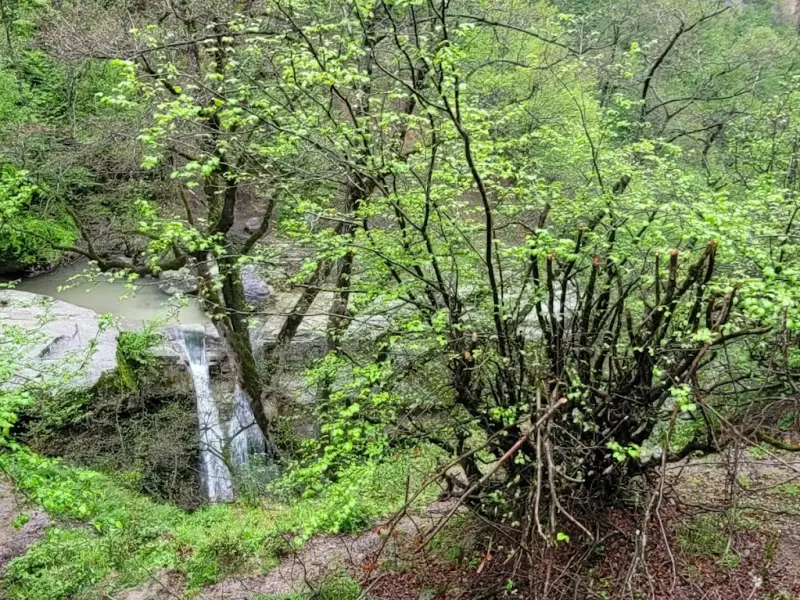 آبشار ساسنگ - تصویر 4