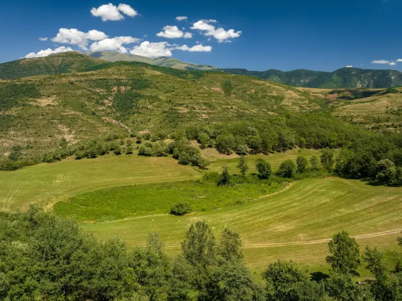 روستای پروریج‌آباد