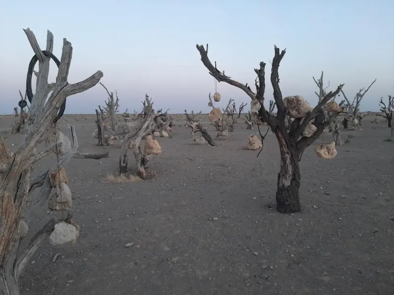 باغ سنگی سیرجان - تصویر 2