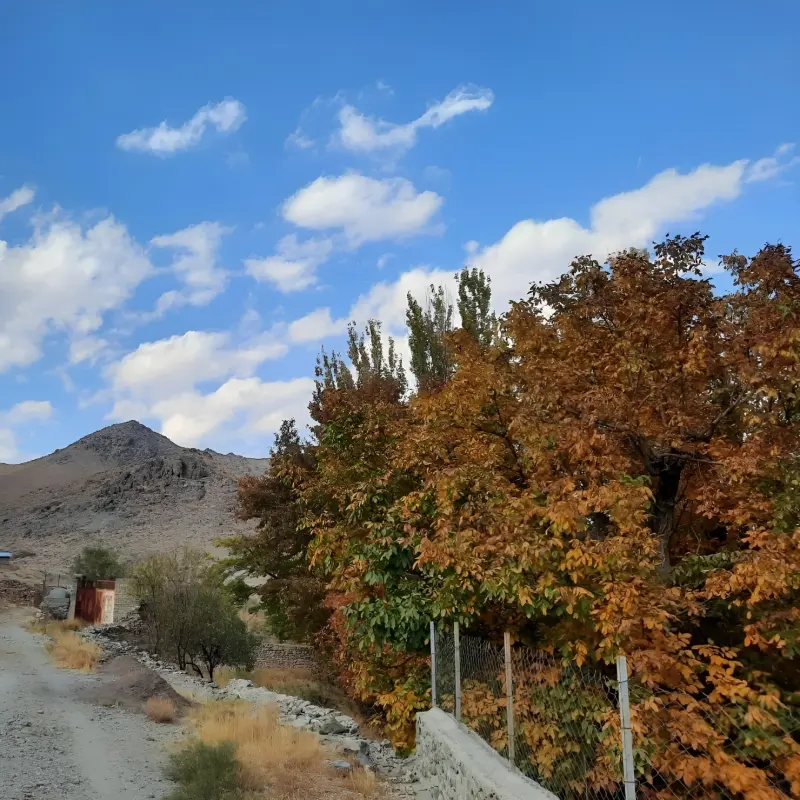 روستای طامه - تصویر 6