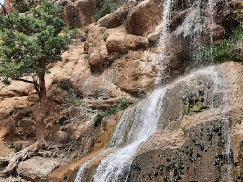 تنگ خرانداز - تصویر 3