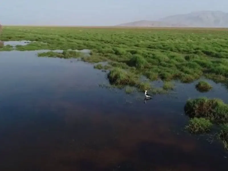 تالاب کمجان - تصویر 1