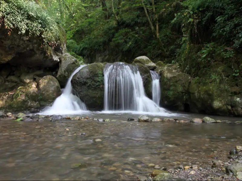 شیرین رود