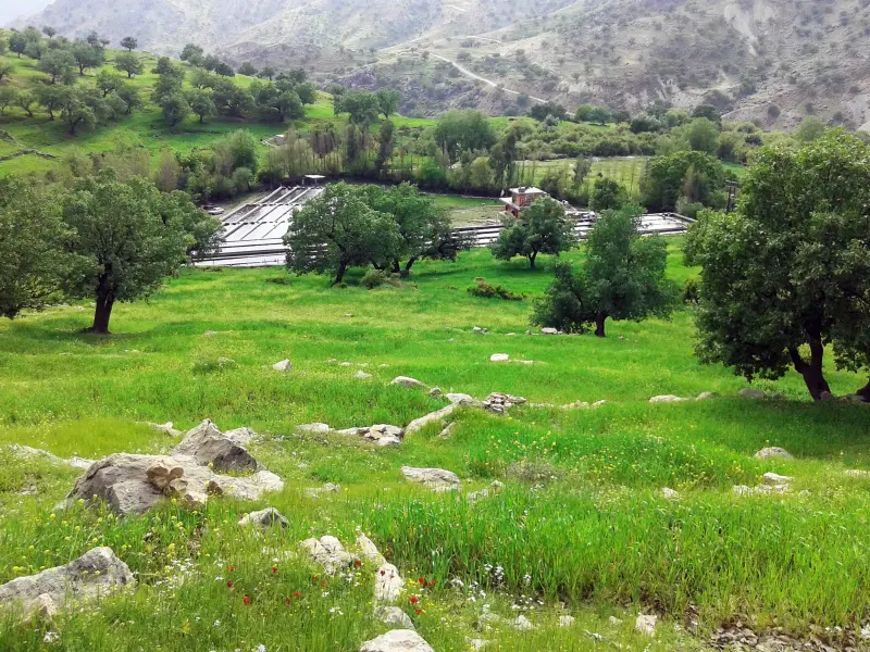 روستای شیمن