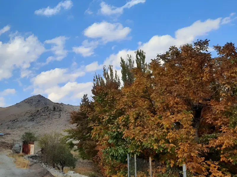 روستای طامه - تصویر 6