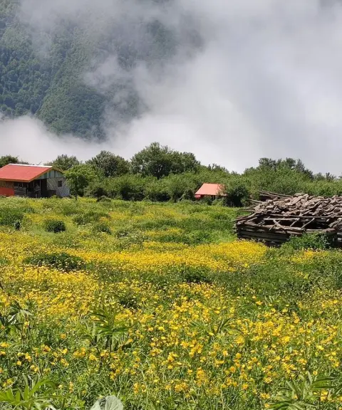 دشت لشم، مازندران