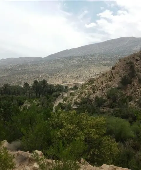 منطقه حفاظت‌شده کوه هماگ، هرمزگان