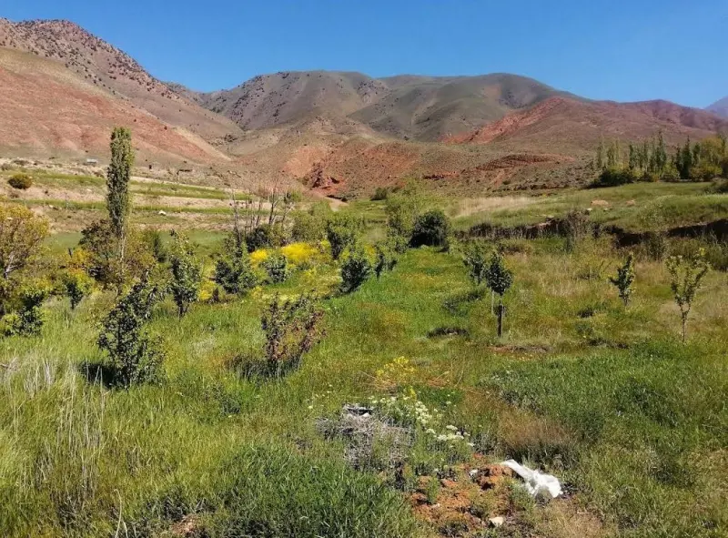 تنگه روزیه - تصویر 2