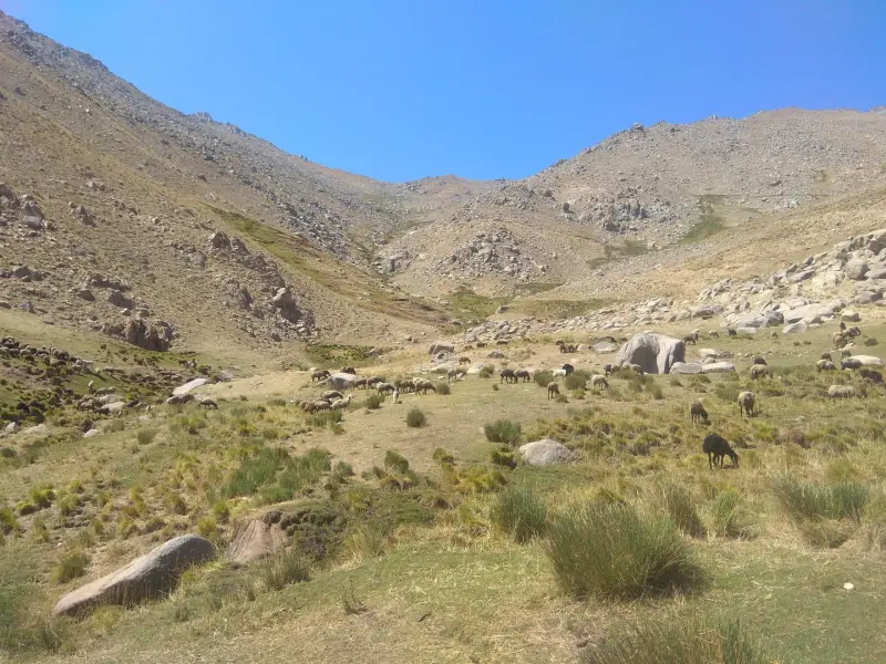 چشمه فرشه - تصویر 1
