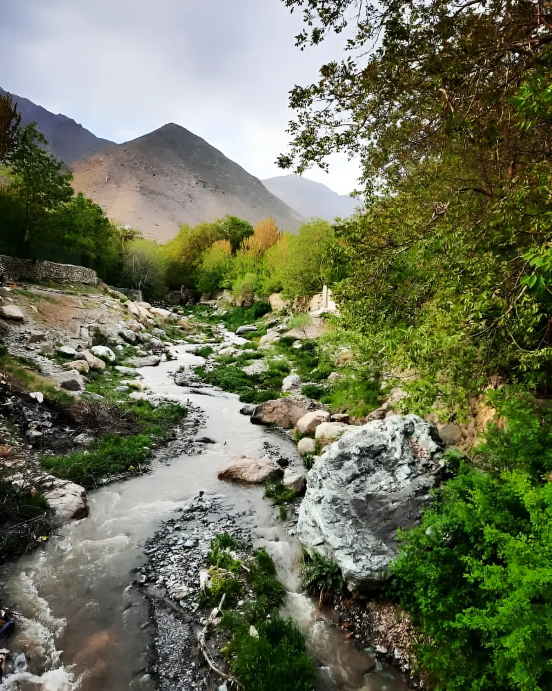 روستای سینک - تصویر 3