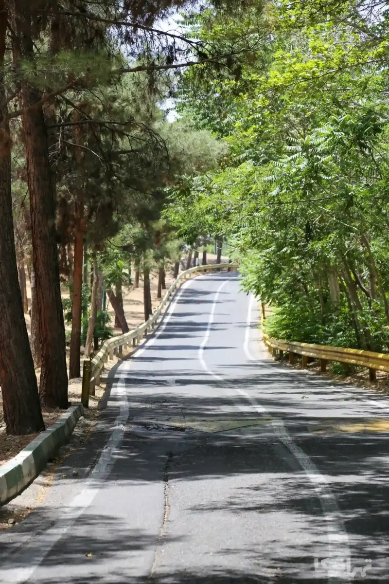پارک جنگلی چیتگر - تصویر 7