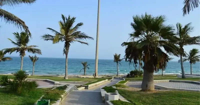 پارک ساحلی زیتون - تصویر 2