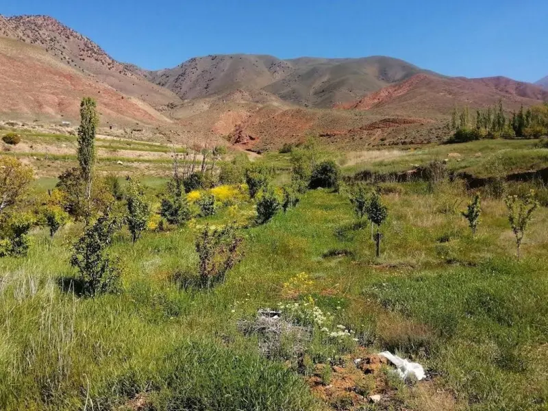 تنگه روزیه - تصویر 2