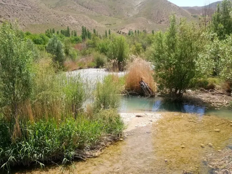 غار بورنیک - تصویر 9