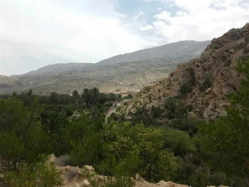منطقه حفاظت‌شده کوه هماگ