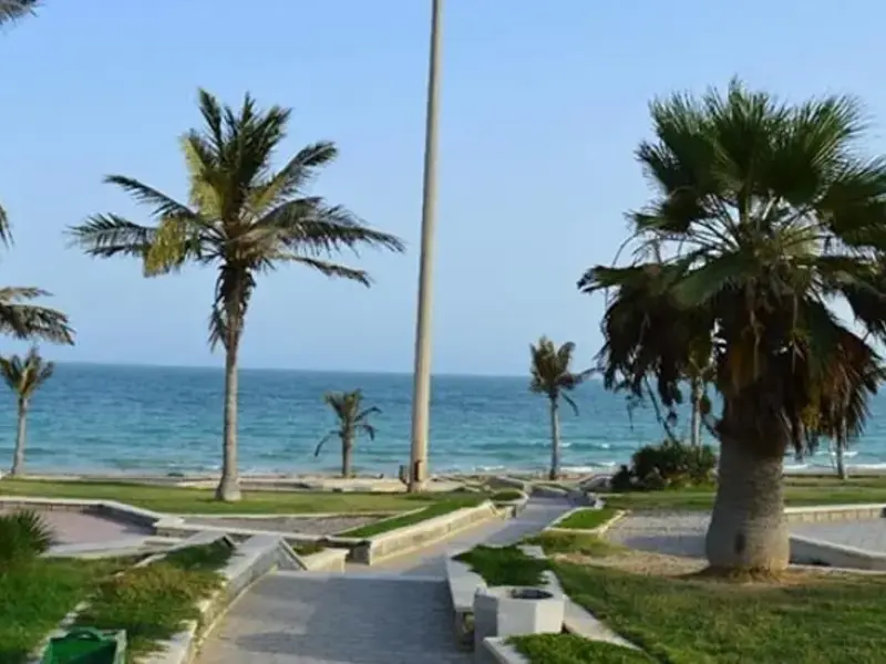 پارک ساحلی زیتون - تصویر 2