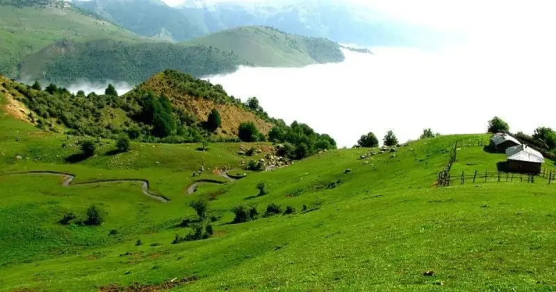 ییلاق هالیدشت - تصویر 1