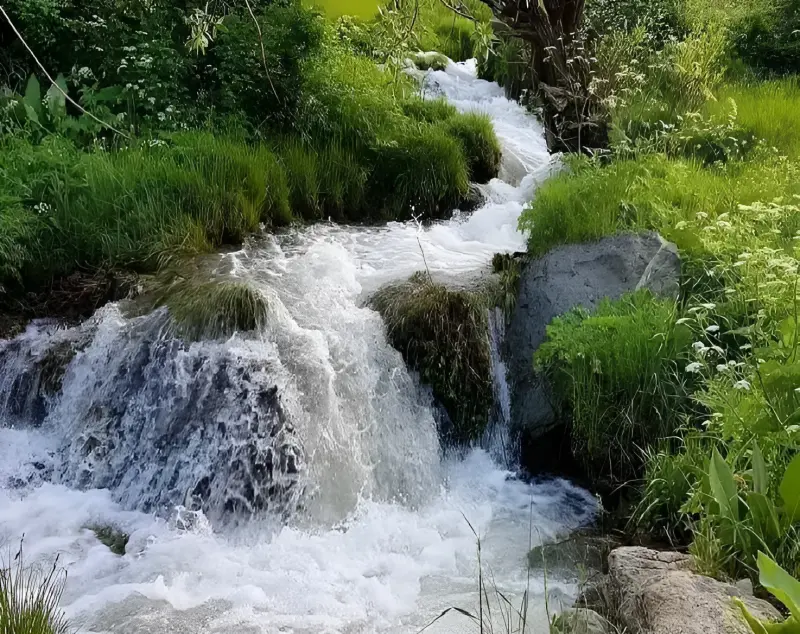 کوه چهل چشمه - تصویر 3