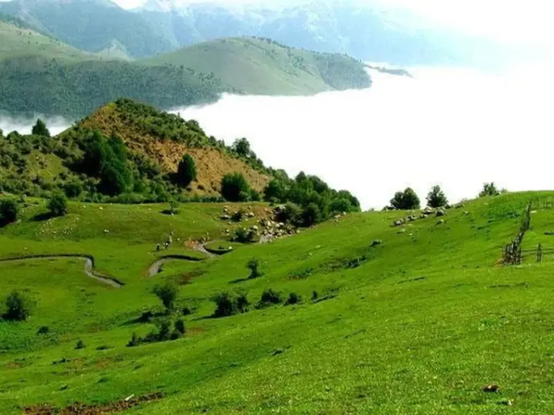 ییلاق هالیدشت - تصویر 1