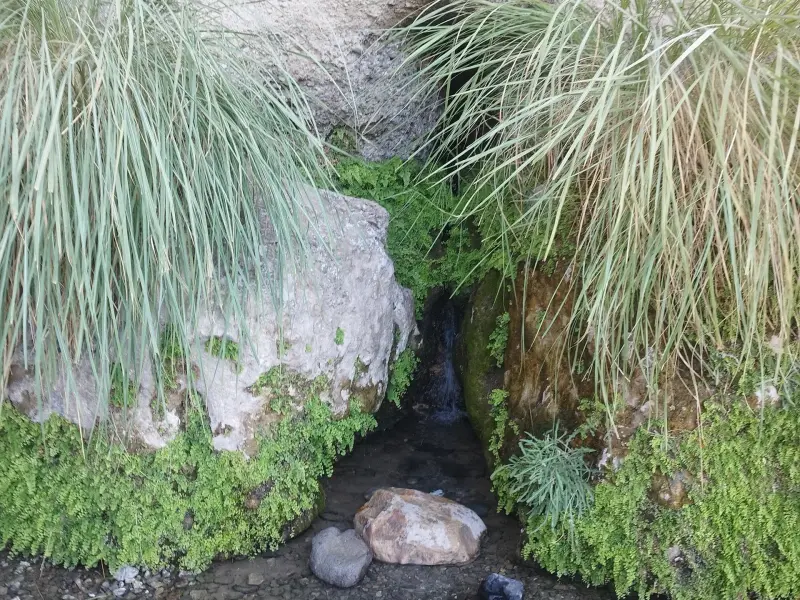 غار لادیز - تصویر 3