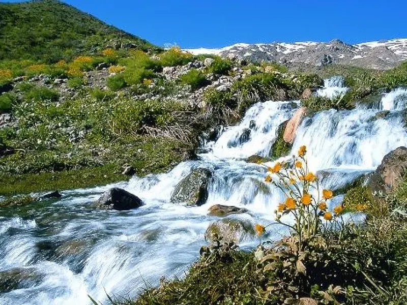 تنگ نول