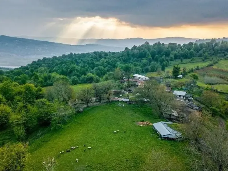 تالاب عزیزک - تصویر 1