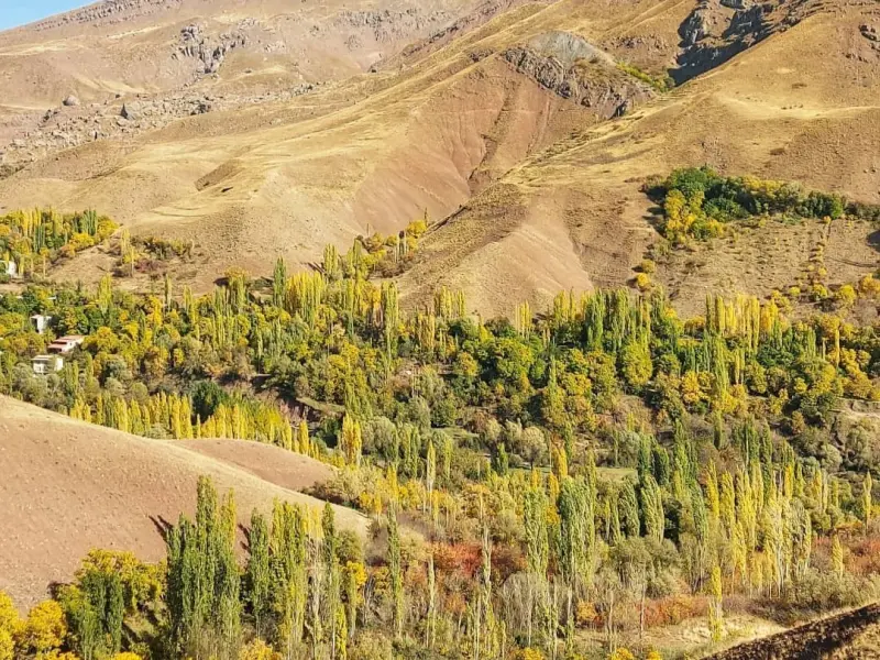 روستای پراچان - تصویر 5