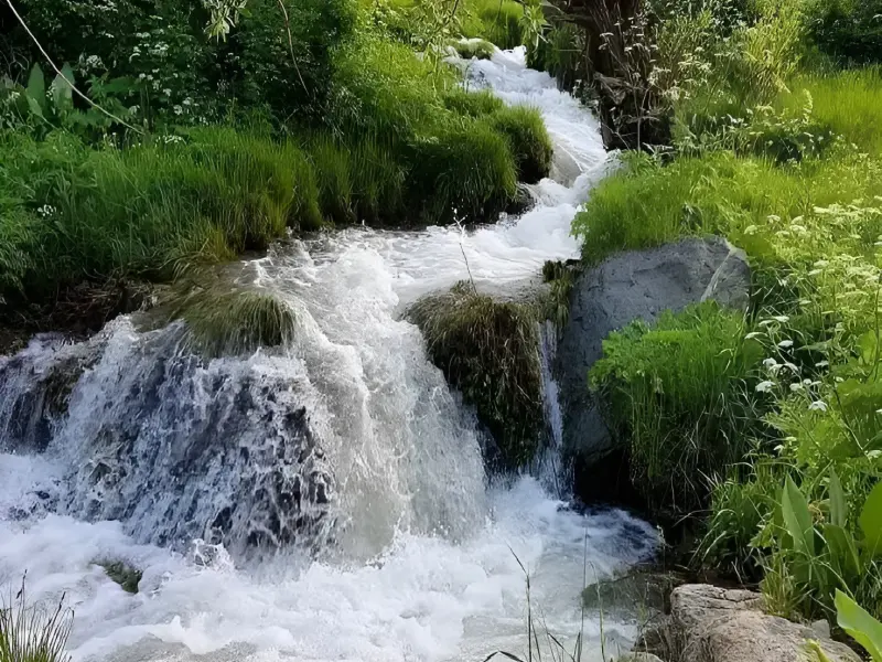 کوه چهل چشمه - تصویر 3