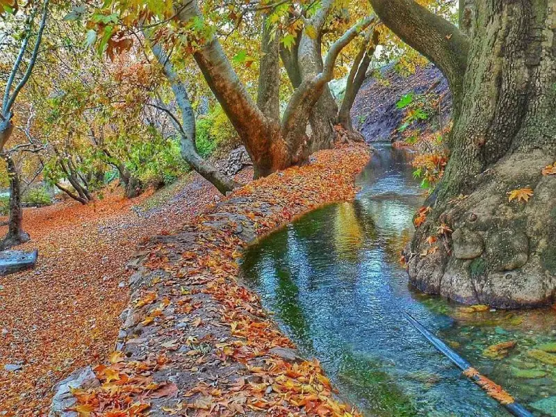 سراب گیان - تصویر 5
