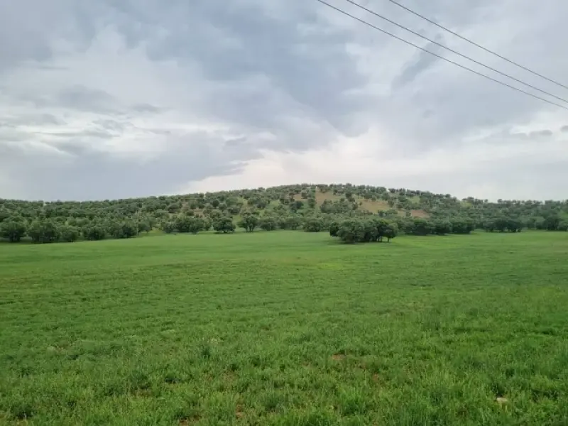تنگه اردشیری - تصویر 1