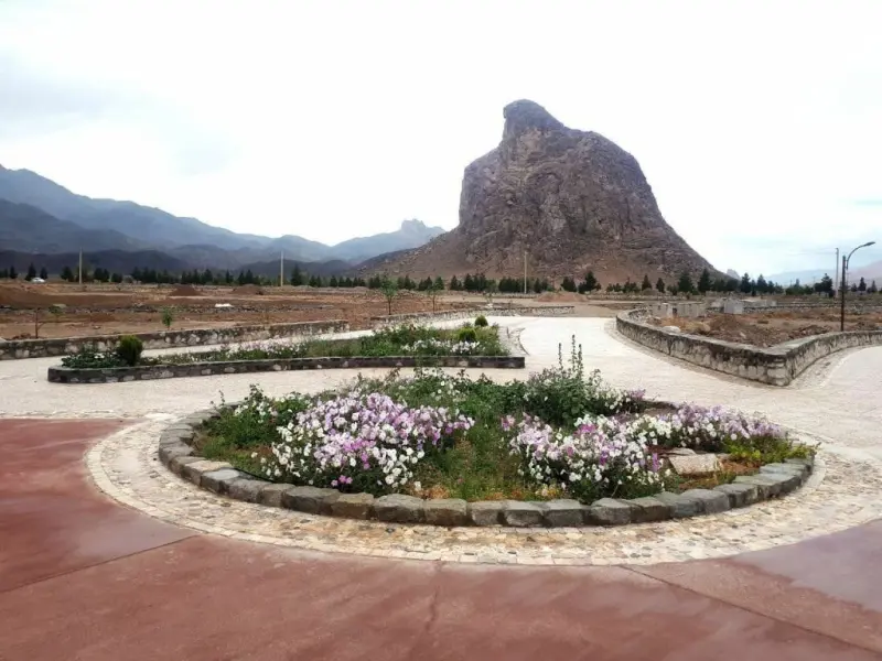 عقاب کوه - تصویر 5