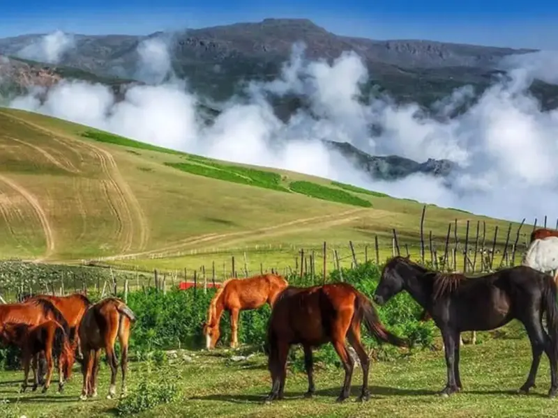 روستای سوباتان