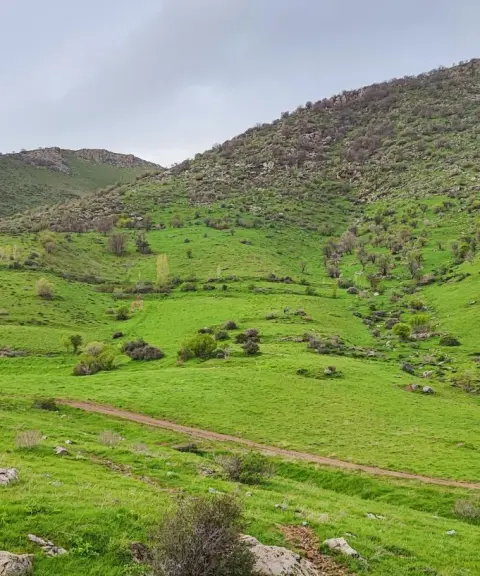 پارک کوهستانی پیرمراد، کردستان