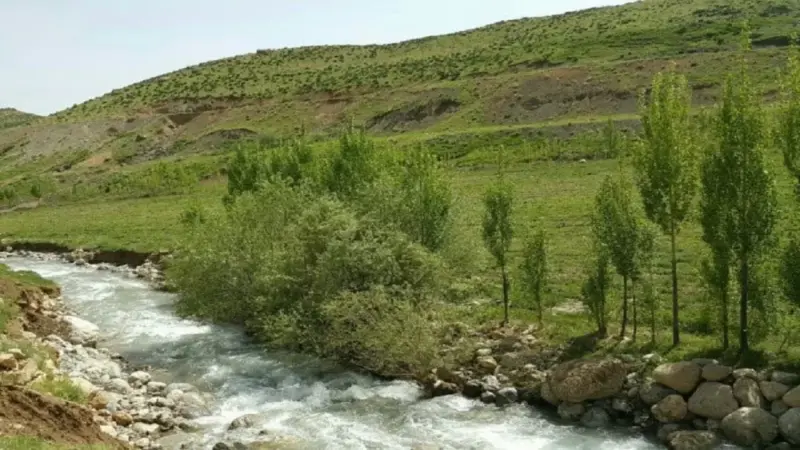 تخت عروس - تصویر 3