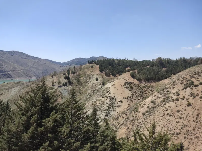 پارک جنگلی لتیان - تصویر 1