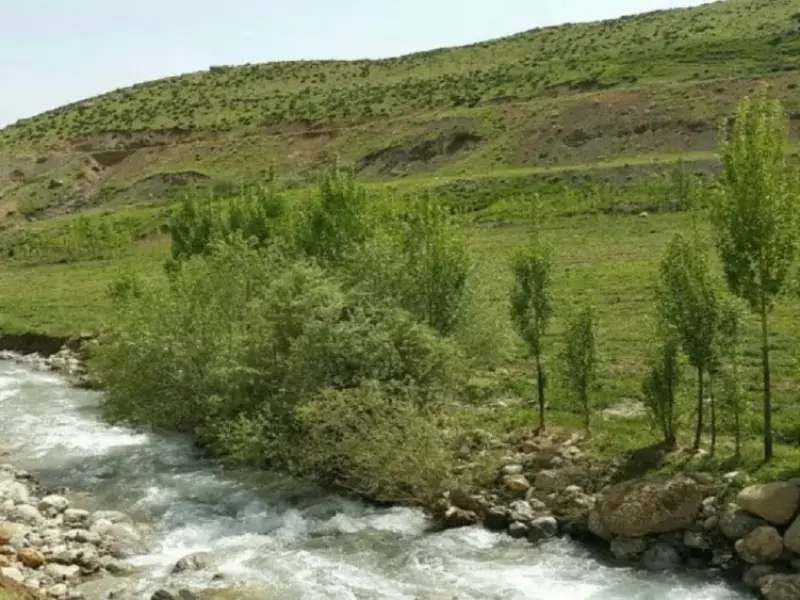 تخت عروس - تصویر 3