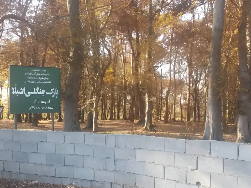 پارک جنگلی اشپلا - تصویر 4