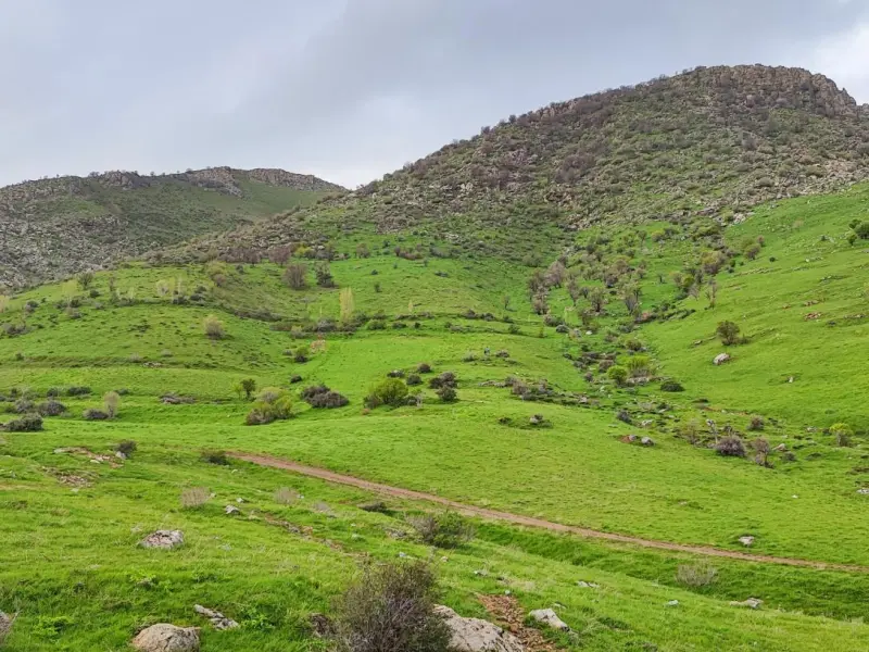 پارک کوهستانی پیرمراد