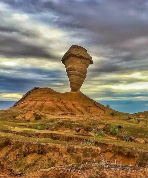 کلوت‌های چاوشی، بوشهر