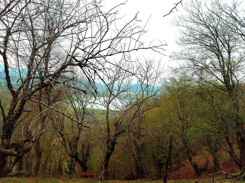 آب‌بندان کامی کلا - تصویر 2