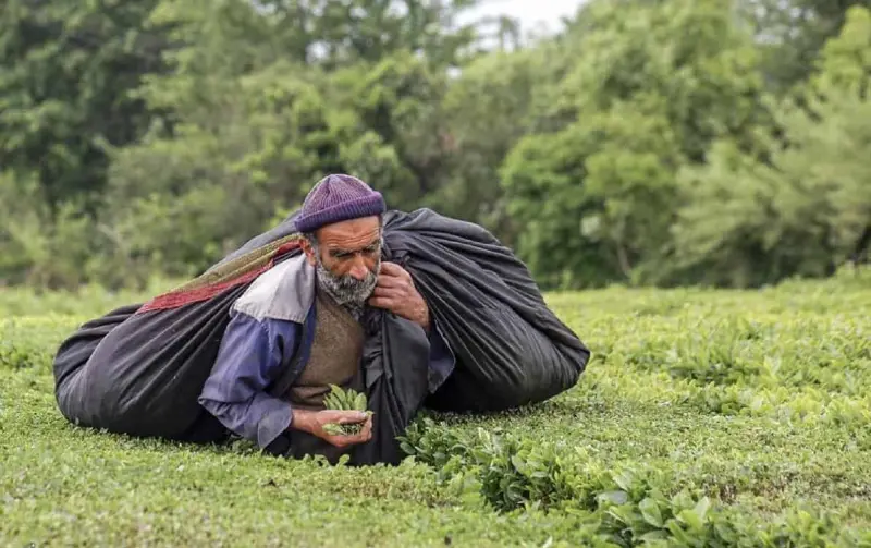 روستای سَطَل‌سِر - تصویر 3