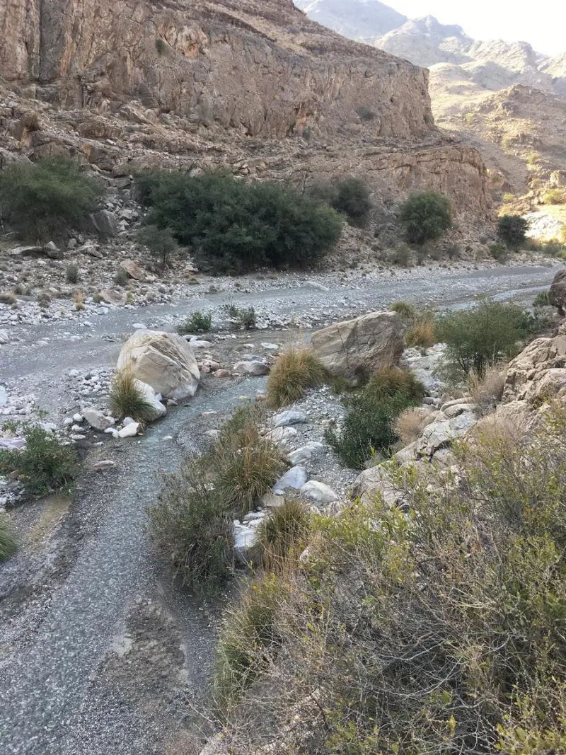 تنگ موردان - تصویر 2
