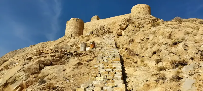 شیر قلعه - تصویر 7