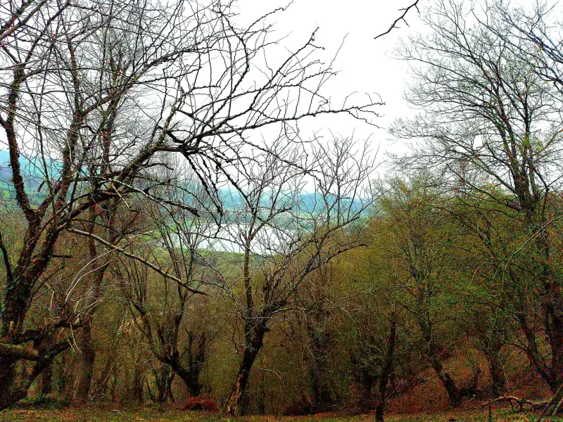 آب‌بندان کامی کلا - تصویر 2